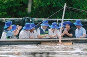 Ca Mau seeks stronger cooperation with Dutch partners in green development, marine economy